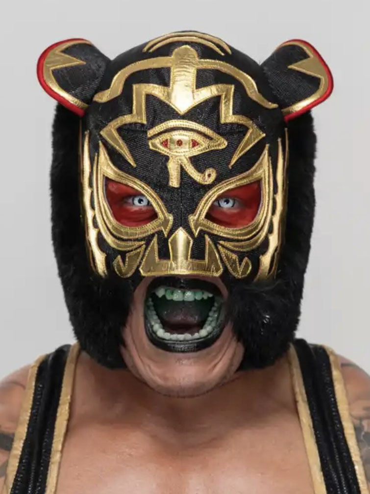 black tiger
