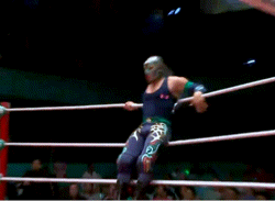Handstand to moonsault