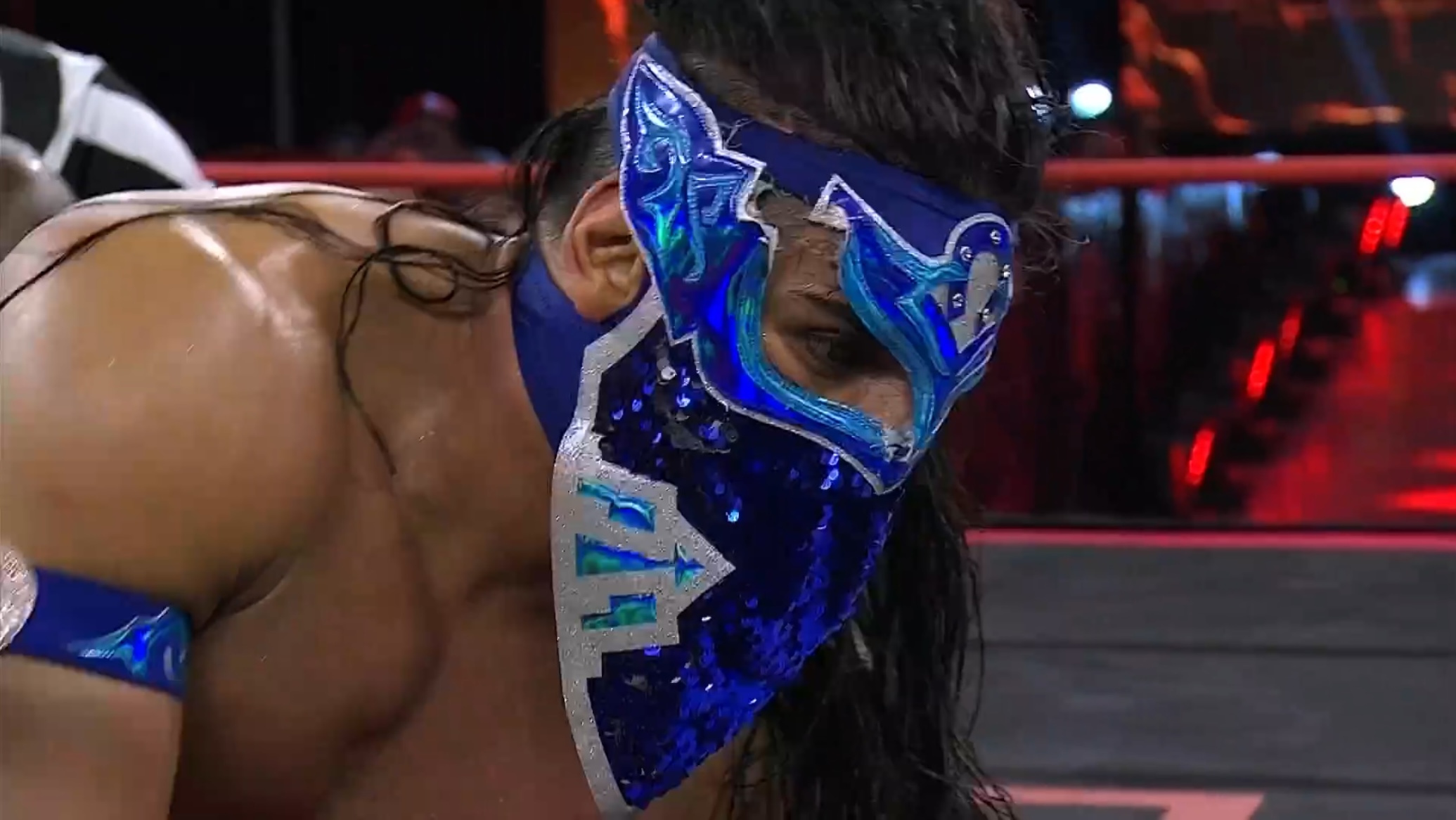 Bandido's exquisite eyebrows