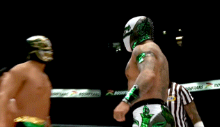 Titán & Templario forehead touch