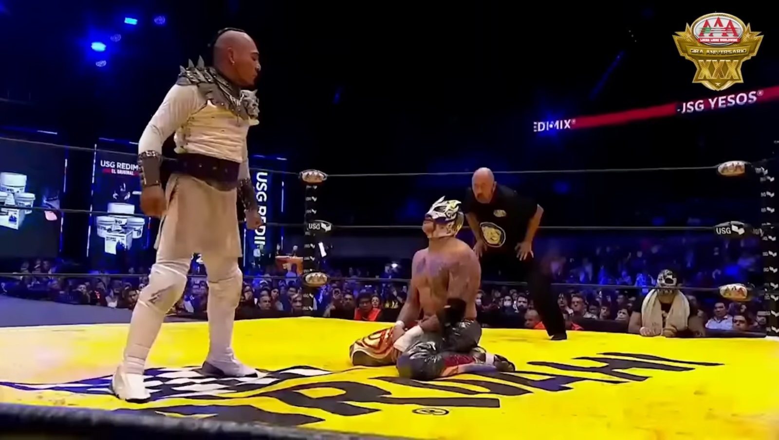 rey fénix seated