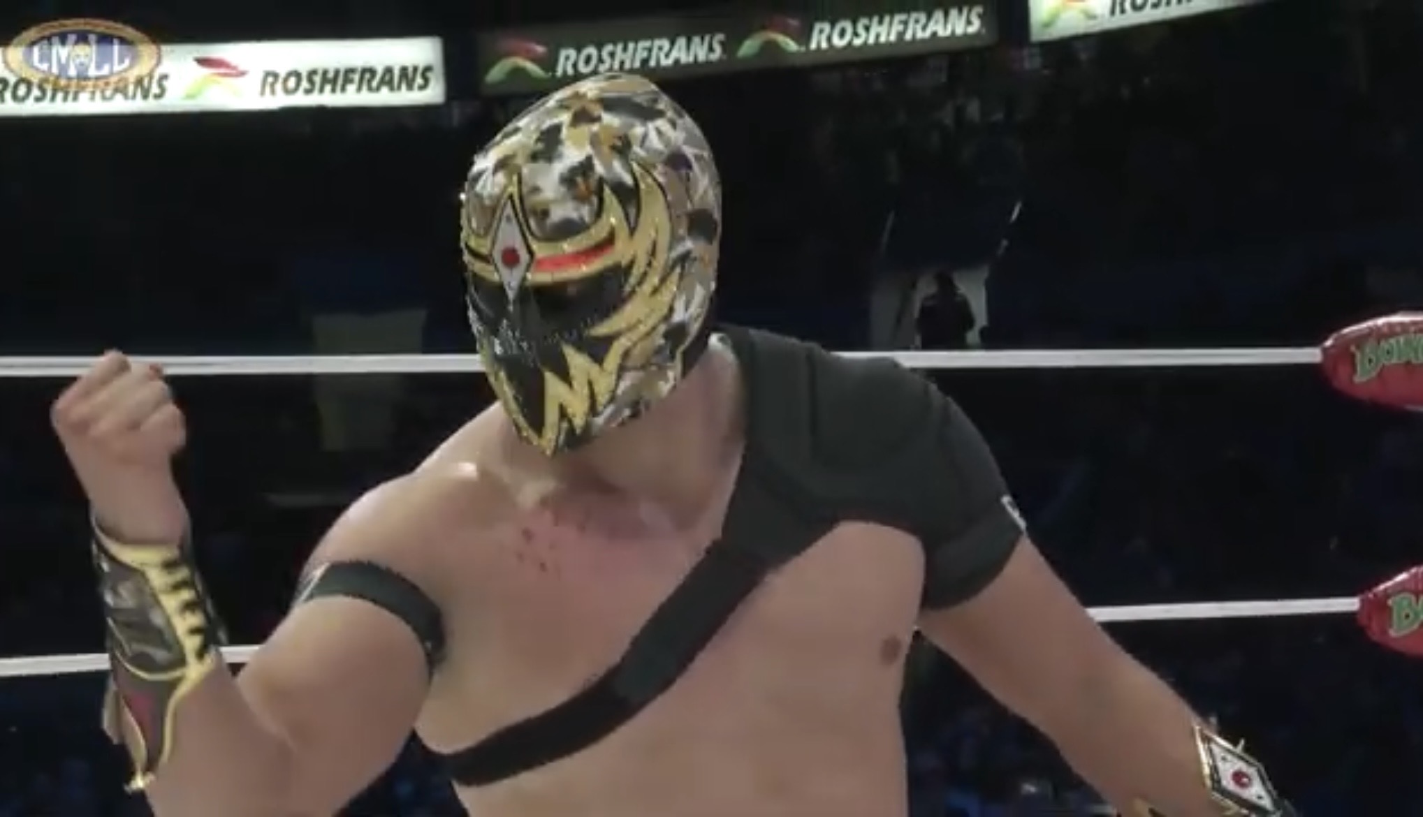 dorada with impact marks