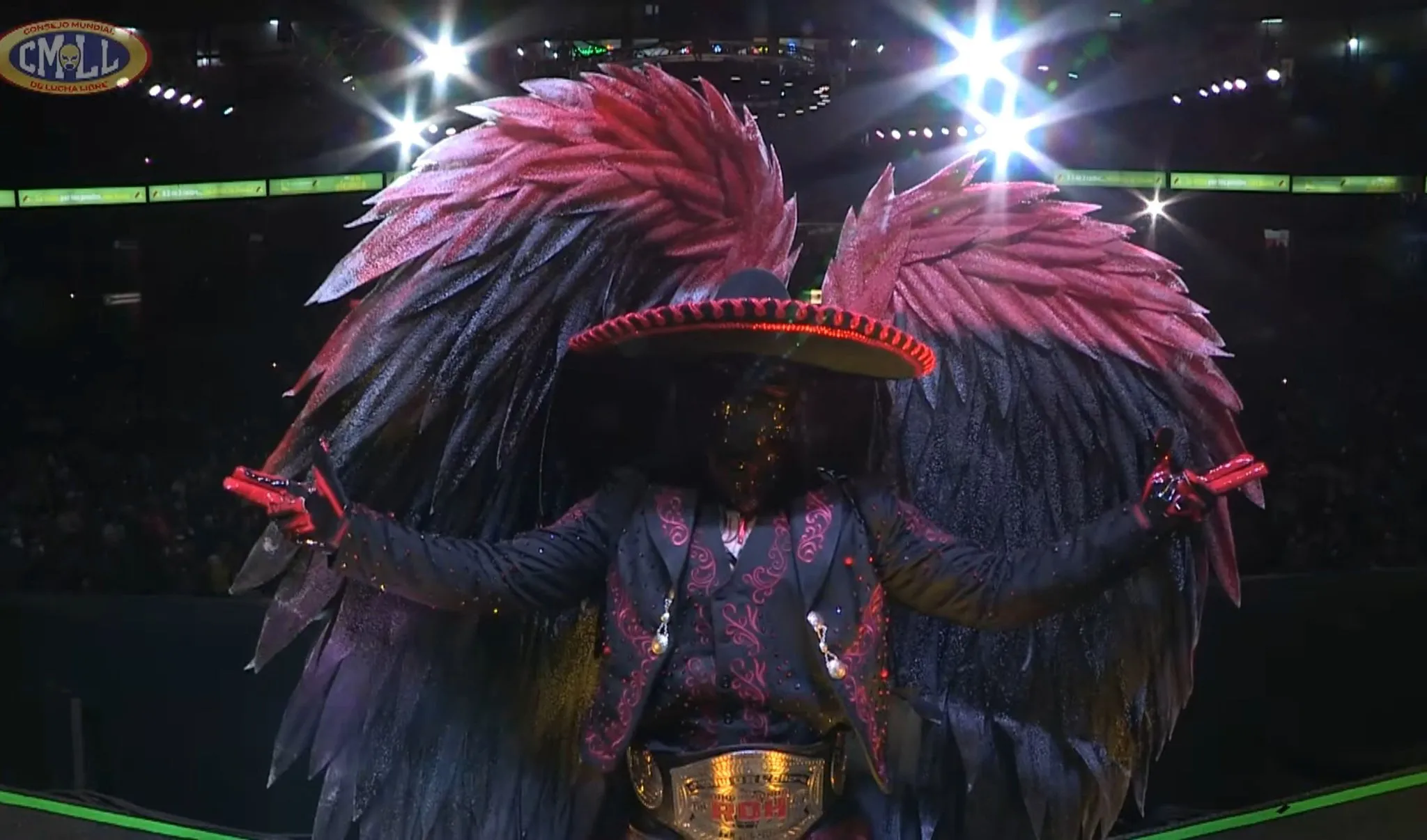 bandido wings